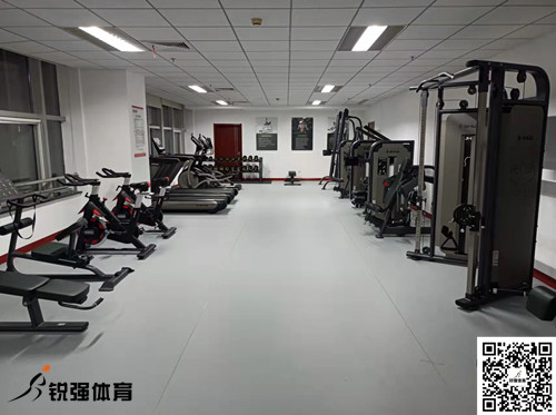 济南某集团采购的星空·综合提供的健身器材